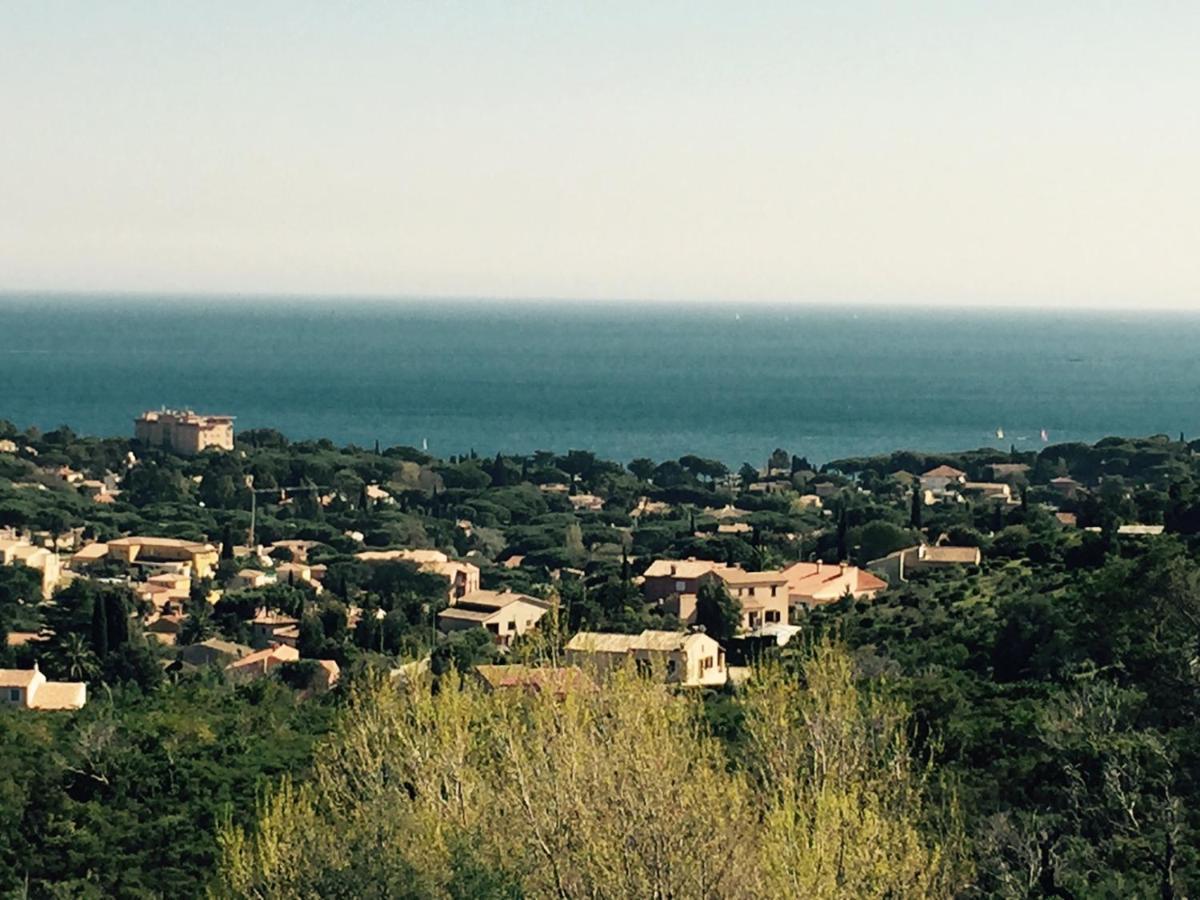 Villa De Charme, 8 Pers, Climatisee, Piscine Chauffee, Calme Garanti Roquebrune-sur-Argens Buitenkant foto